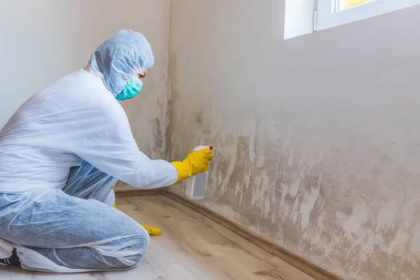 Commercial Mold Remediation assessment for commercial property in Woodbury