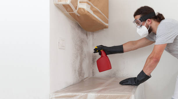 Attic Mold Remediation treatment on roof deck in Woodbury